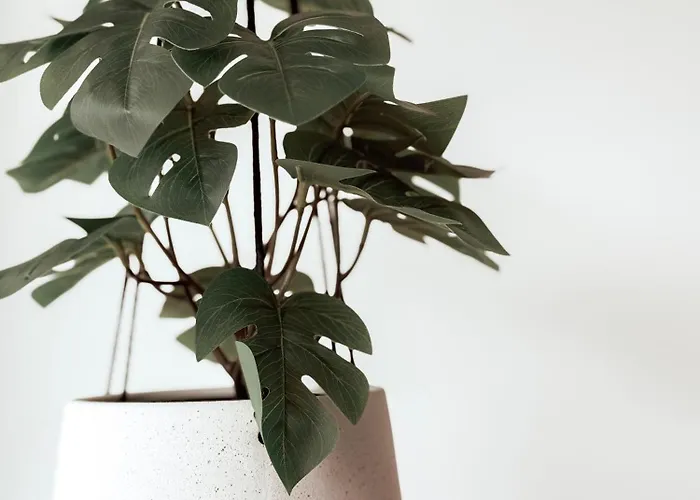 Gluecksmoment Mit Balkon In